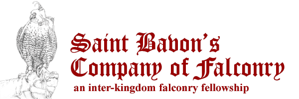 Saint Bavon's Company of Falconry, an inter-kingdom falconry fellowship